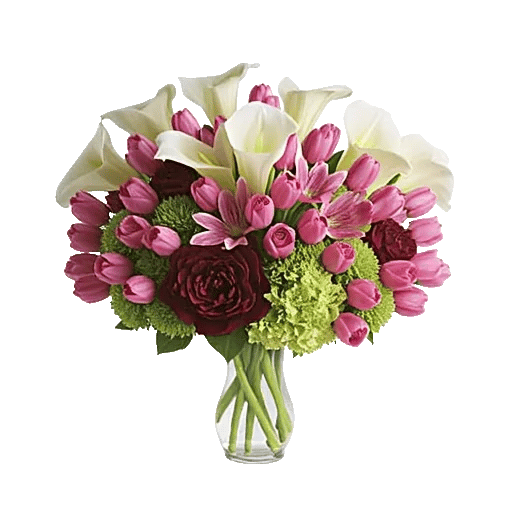 Elegant Calla Lilies