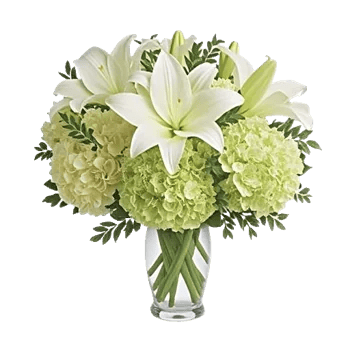 Ivory Blossom Radiance