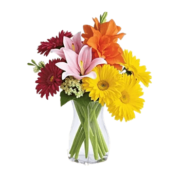 Crimson Blossom Harmony