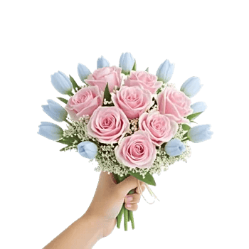 Pastel Pink Roses