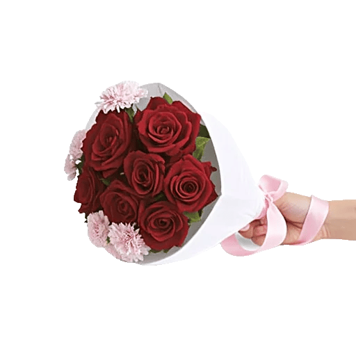 Crimson Rose Elegance