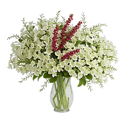 Ivory Blossom Radiance