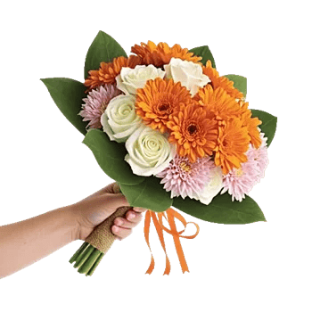 Vibrant Orange Delight
