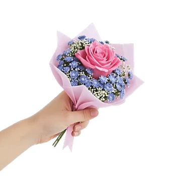 Blossom Radiant Whisper