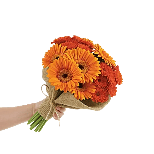 Petal Harmony Bliss