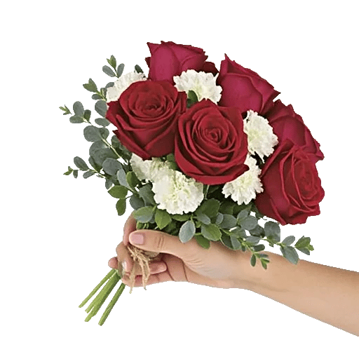 Crimson Rose Elegance