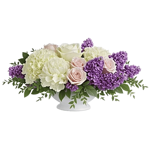 Minimalist White Orchids