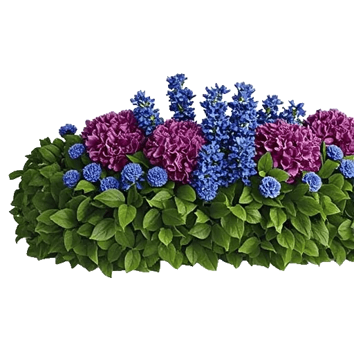 Delicate Petal Cascade