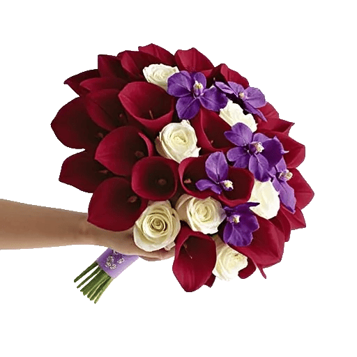 Elegant Calla Lilies