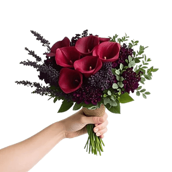 Elegant Calla Lilies
