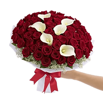 Crimson Rose Elegance