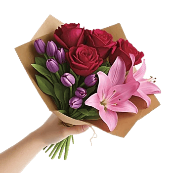 Crimson Rose Elegance