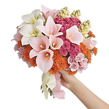 Petal Grace Harmony