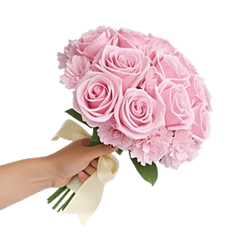 Pastel Pink Roses