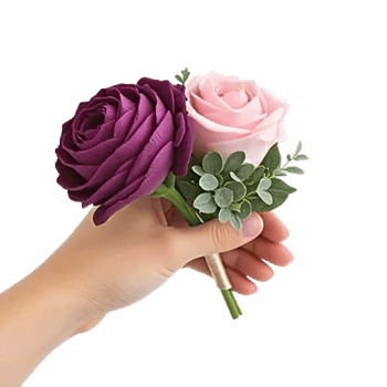 Plum Blossom Radiance