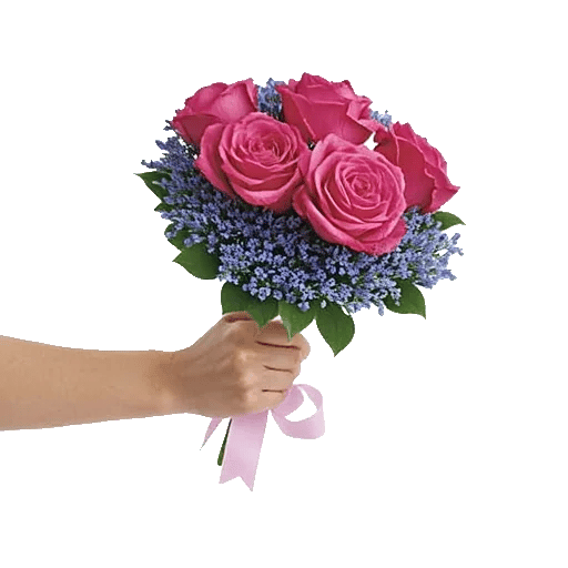Pastel Pink Roses