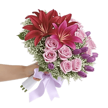 Blushing Rose Symphony