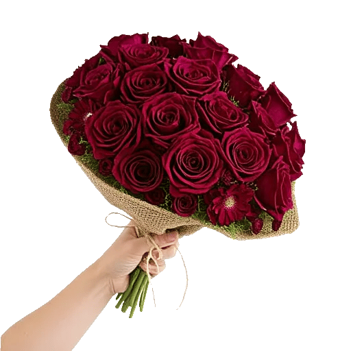 Crimson Rose Elegance
