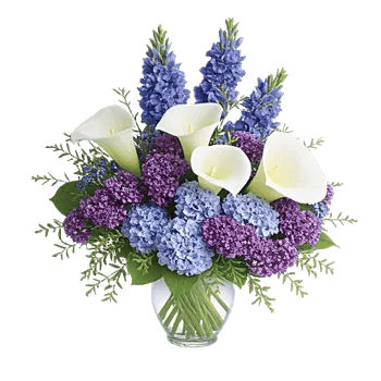Elegant Calla Lilies