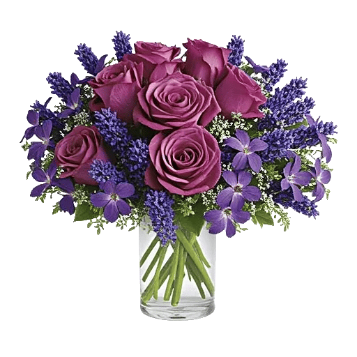 Lavender Bloom Grace