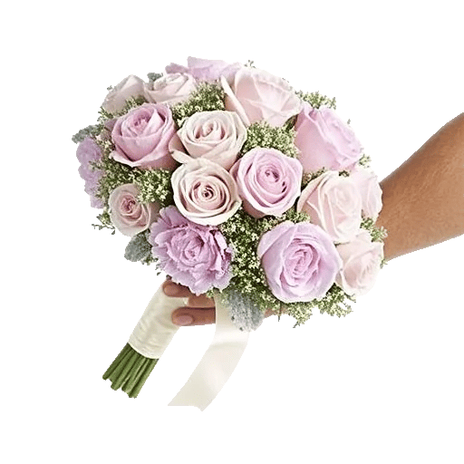 Pastel Pink Roses