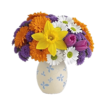 Petal Radiance Bliss