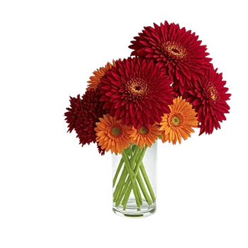 Crimson Blossom Harmony