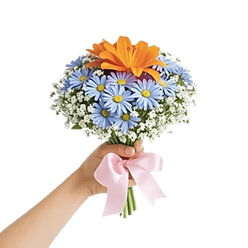 Blossom Petal Serenity