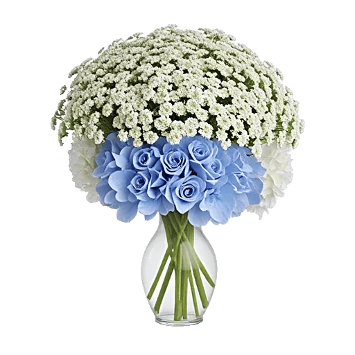 Ivory Blossom Radiance