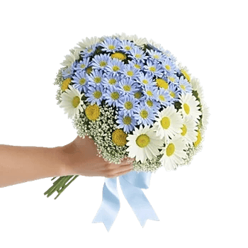 Blossom Petal Serenity