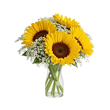 Golden Bloom Radiance