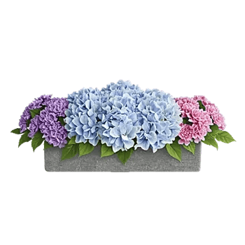 Serene Petal Harmony