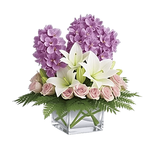 Orchid Bloom Cascade