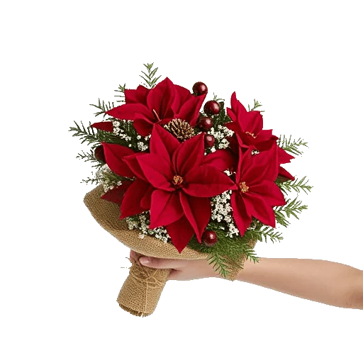 Crimson Rose Elegance