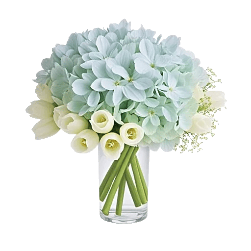 Ivory Blossom Radiance