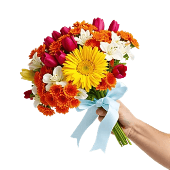 Enchanting Daisy Garden