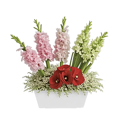 Graceful Lily Display