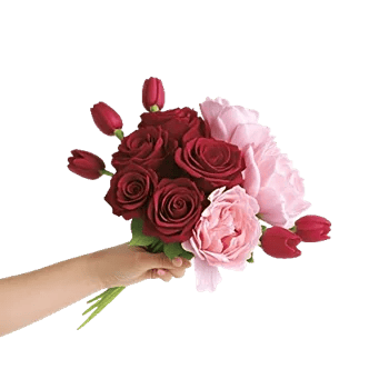 Peony Petal Harmony