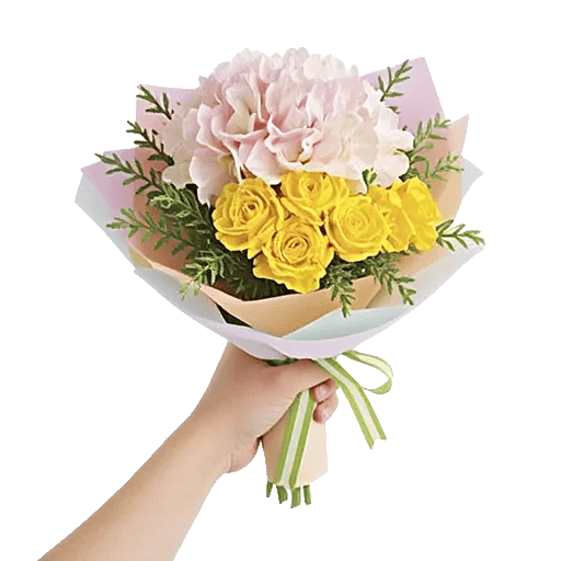 Pastel Blossom Grace