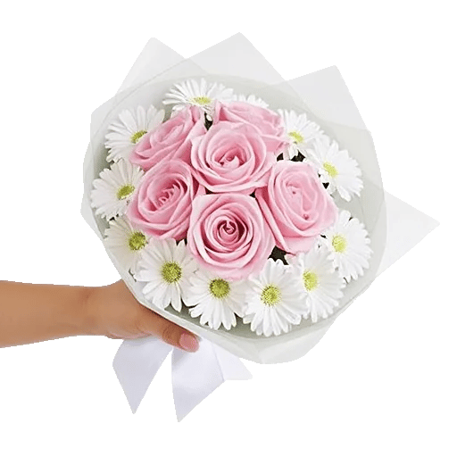 Blushing Rose Symphony
