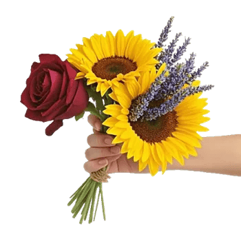 Rosemary Bloom Elegance