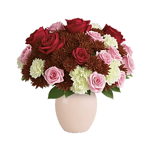 Radiant Rose Symphony