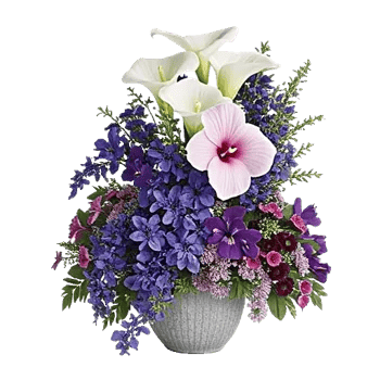 Ivory Blossom Radiance