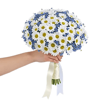 Delicate Petal Cascade