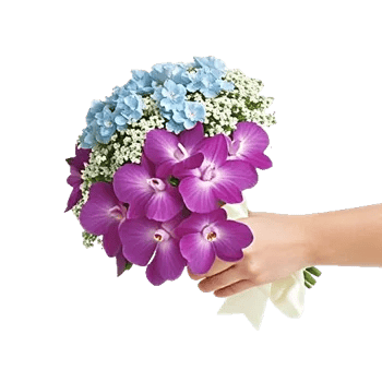 Serenity Orchid Bloom