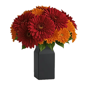 Crimson Blossom Harmony