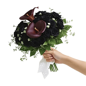 Elegant Calla Lilies