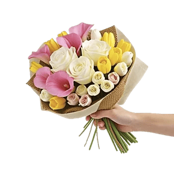 Ivory Garden Grace