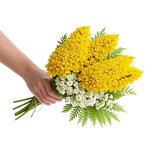 Blossom Harmony Display