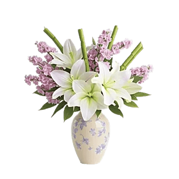 Ivory Blossom Radiance